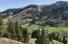 Teren intravilan ,extravilan Pojorata-Bucovina - 4