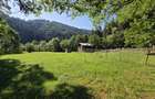 Teren de vanzare com. Borca Sat Borca jud. Neamt - 7