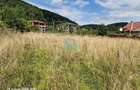 Teren intravilan, 2160 mp, Bunloc, Brasov - 5