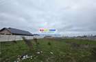 Vanzare lot de teren 1700 mp in apropriere de lac si padurea Cernica - 18