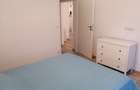 Apartament pet friendly, 2 camere, zona Banu Manta 