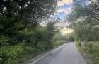 Priveliste superba teren ideal vile sau camping utilitati la strada - 4