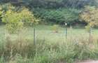 Vand teren intravilan Sat Voia Com. Balsa 7000mp - 7