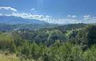 Teren intravilan 18.907 MP cu PUZ + Proiect turistic PESTERA/MOIECIU/MAGURA/BRAN - 2