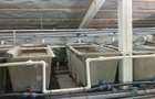 Casă cu 10 camere cu Teren 28000 Mp în Central - 7