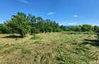 Direct proprietar Vand teren ciurea - 15