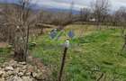 Casa de vanzare in Ghelari liniste, natura si spatiu generos! Schimb - 5
