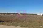 Sabareni, teren rezidential 6290 mp, cu 52m FS, utilitati in apropiere - Sabareni (Giurgiu)
