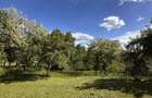 Teren in Breaza Frasinet | 1.955 mp | 23 /mp - 8