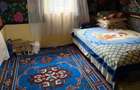 Casă cu Teren 2000 Mp în Prundu - 8