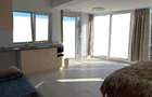 Apartament 1 cameră de închiriat – Gruia - 2