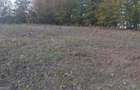 Vand 2.9 ha teren chisindia sat vasoaia/pret pe hectar - 8