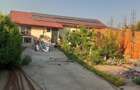 proprietar casa individuala comuna frumusani,sat padurisu - 9
