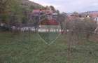 Teren intravilan 3500mp | Cotofenesti, Prahova - 6