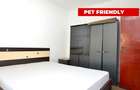 INCHIRIERE APARTAMENT 3 CAMERE UNIRII – CORNELIU COPOSU - PET FRIENDLY - 11