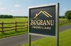 BG136-Teren Agricol 53 ha comasat-DJ 593A-Jud.Timis Peciu Nou - 1