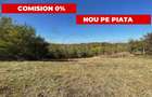Teren Arges Babana- zona cu peisaj - ideal pentru afacere - 2