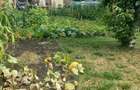 Vand teren INTRAVILAN 730 m2 Cisnadie - 3