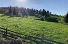 Teren intravilan manastirea humorului , bucovina! - 3