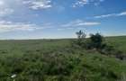 Teren de 9000 mp, în Albota - 9