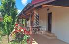 Casa individuala in Ianova,Comuna Remetea Mare - 10