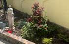 Vila de vanzare spa?ioasa, 380 mp utili, curte amenajata - 9