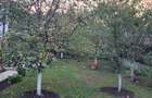 Oferta!Vand casa in zona de munte,Corbsori ,jud Arges,tot confortul - 3