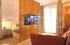 Apartament cochet tip studio cu terasa, la 5 minute de partie Pred - 8