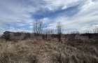 Teren extravilan de vanzare, 15.000 mp, zona Narcise II - 2