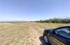 Nicolint, 2 Terenuri Extravilane, Arabil, 1.45 Hectare - 7