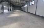 3 Hale metalice noi 2026 suprafata 550mp-fiecare - 9