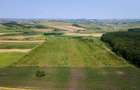 Plantatie Alun Frata Cluj 700.000 - 3