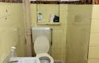 casa 3 cam zona Armeneasca- Mosilor, str. Toamnei - 10