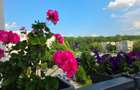 Apartament 2 camere, Greenfield Baneasa, loc parcare inclus- Direct proprietar - 1