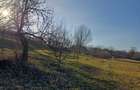 Proprietate 7400 mp, Mazanaesti(Suceava),casa renovata partial - 5