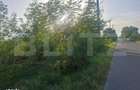 Teren extravilan de vanzare, 5000 mp, zona Viisoara