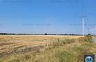 Teren intravilan de vanzare, zona Exterior Sud, 9903 mp #16110 - 4
