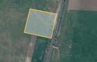 Teren 1 ha intravilan-deschidere 100 ml la DN Simand-Arad, PUZ Motel - 3