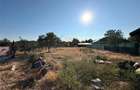 CASA PLAN PARTER | TEREN 990 MP | ACCES AUTO | ZONA TARIAN | - 8