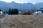Teren intravilan Busteni - Piatra Arsa - 8