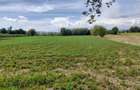 Casă cu Teren 5741 Mp în Lunca Mureșului - 2