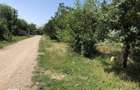 Proprietar vand teren -Teleorman-Radoiesti/Cetate-Comision 0! - 5