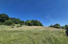 teren agricol fanat vanzare - 5