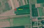 Dau in arenda sau vand 0.43 ha teren agricol arabil com. Movila Miresii Jud. Braila - 1