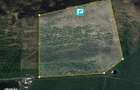 Teren Extravilan 4,5 hectare in Lipova - 2