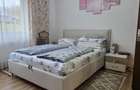 Casă individuală cu 4 camere cu Teren 1997 Mp în Mica - 8