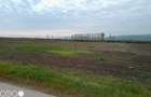 5000mp teren construc?ii in apropierea orasului Iasi - 3