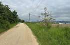 Vand teren extravilan 18.500 mp in Selimbar / jud. Sibiu - 4