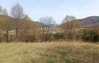 Teren Darmanesti, zona lac Valea Uzului, 3200 mp - 1