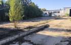 Se inchiriaza hala industriala C2, Salonta, jud. Bihor. - 12